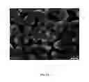 Fig. 12 - Surface-enhanced raman scattering substrates