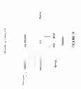 Fig. 49 - Micro-devices for disease detection