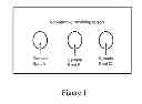 Fig. 02 - Cards for sample storage and delivery comprising sintered porous plastic