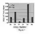 Fig. 09 - System for the assessment of protease activity