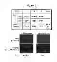 Fig. 10 - System for the assessment of protease activity