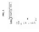 Fig. 02 - Methods for Expansion and Analysis of Cultured Hematopoietic Stem Cells