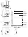 Fig. 06 - Methods for Expansion and Analysis of Cultured Hematopoietic Stem Cells