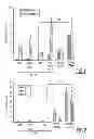 Fig. 02 - Vector particles for targeting CD34+ cells