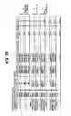 Fig. 33 - Method of manufacturing semiconductor device