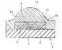Fig. 01 - Light emitting device provided with lens for controlling light distribution characteristic