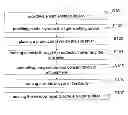 Fig. 01 - METHOD FOR ENHANCING ELECTRICAL INJECTION EFFICIENCY AND LIGHT EXTRACTION EFFICIENCY OF LIGHT-EMITTING DEVICES