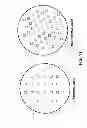 Fig. 13 - Uniform masking for wafer dicing using laser and plasma etch