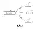 Fig. 02 - Network, master, hub and method for providing a bluetooth infrastructure
