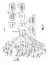 Fig. 02 - Dynamic paging concatenation