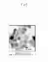 Fig. 07 - Vanadia—titania catalyst for removing nitrogen oxides and method for manufacturing the same