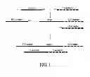 Fig. 02 - Reducing adapter dimer formation