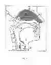 Fig. 02 - Nasal delivery of oxytocin