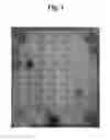 Fig. 02 - Method for screening for a cancer treatment agent using the interaction between PAUF and a binding partner thereof