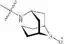Fig. 09 - Targeted nitroxide agents