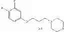 Fig. 100 - Method of inhibiting tau phosphorylation