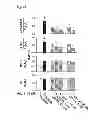 Fig. 12 - Method of inhibiting tau phosphorylation