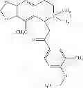 Fig. 143 - Method of inhibiting tau phosphorylation