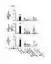 Fig. 15 - Method of inhibiting tau phosphorylation