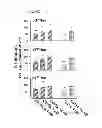 Fig. 16 - Method of inhibiting tau phosphorylation