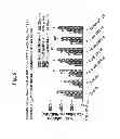 Fig. 18 - Method of inhibiting tau phosphorylation