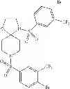 Fig. 243 - Method of inhibiting tau phosphorylation