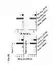 Fig. 27 - Method of inhibiting tau phosphorylation