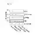 Fig. 39 - Method of inhibiting tau phosphorylation