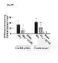 Fig. 43 - Method of inhibiting tau phosphorylation