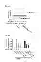 Fig. 49 - Method of inhibiting tau phosphorylation