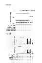 Fig. 55 - Method of inhibiting tau phosphorylation