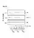 Fig. 67 - Method of inhibiting tau phosphorylation