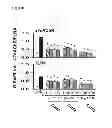 Fig. 68 - Method of inhibiting tau phosphorylation