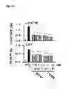 Fig. 72 - Method of inhibiting tau phosphorylation