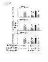Fig. 76 - Method of inhibiting tau phosphorylation