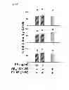 Fig. 77 - Method of inhibiting tau phosphorylation