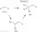 Fig. 19 - Inhibition of enzymes
