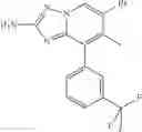 Fig. 27 - Inhibition of enzymes