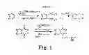 Fig. 07 - Lisofylline analogs and methods for use