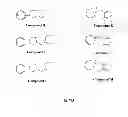 Fig. 03 - Bitopic muscarinic agonists and antagonists and methods of synthesis and use thereof