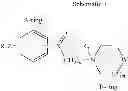 Fig. 08 - Bitopic muscarinic agonists and antagonists and methods of synthesis and use thereof