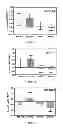 Fig. 03 - Method for Determining Hepatocellular Carcinoma Subtype and Detecting Hepatic Cancer Stem Cells