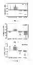 Fig. 04 - Method for Determining Hepatocellular Carcinoma Subtype and Detecting Hepatic Cancer Stem Cells