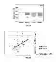 Fig. 05 - Method for Determining Hepatocellular Carcinoma Subtype and Detecting Hepatic Cancer Stem Cells