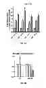 Fig. 08 - Method for Determining Hepatocellular Carcinoma Subtype and Detecting Hepatic Cancer Stem Cells
