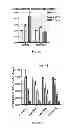 Fig. 09 - Method for Determining Hepatocellular Carcinoma Subtype and Detecting Hepatic Cancer Stem Cells