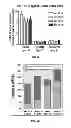 Fig. 16 - Method for Determining Hepatocellular Carcinoma Subtype and Detecting Hepatic Cancer Stem Cells