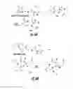 Fig. 07 - Protection of normal cells