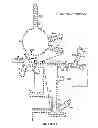 Fig. 11 - METHOD FOR DETECTION OF PATHOGENIC ORGANISMS