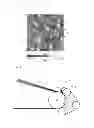 Fig. 07 - Belt